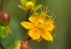 Mask & Colour Range Selector