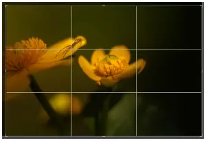 Lightroom Training