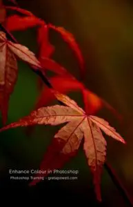 about photoshop courses