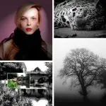 Adobe Photoshop for Photographers Course - online and onsite Photoshop Training