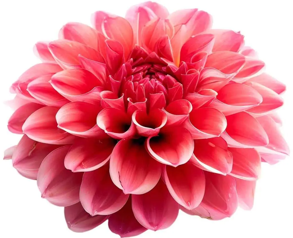 Adobe Photoshop Training in Chester - face to face onsite Photoshop Courses