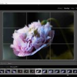 Adobe Lightroom Training Courses in Nottingham