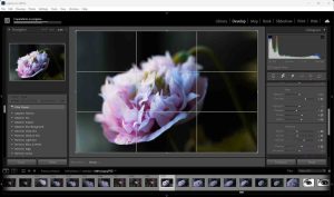 Adobe Lightroom Training Courses in Nottingham