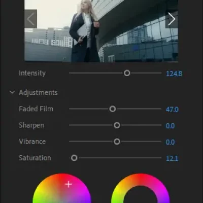 Intermediate Premiere Pro Training with Lumetri Colour